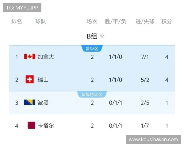 世界杯波黑VS卡塔尔比赛结果及裁判判罚对比赛走势的影响分析